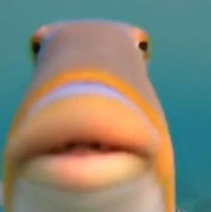 Meet your Posher, Jose